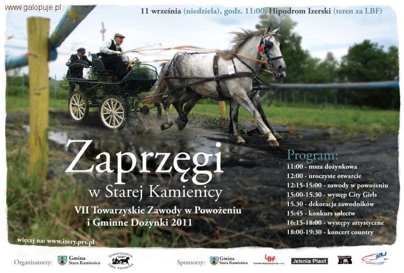 Amatorskie zawody w powożeniu - Fot. mat. prasowe