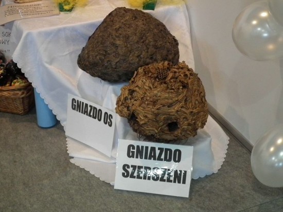 Skarby Ziemi Ząbkowickiej - 15