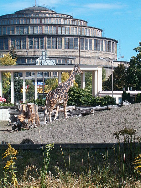 Ogrodzenie ZOO w nowych barwach - Fot. Julo/Wikipedia