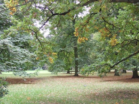 Jesień wkracza do kalendarza (Zobacz) - 27