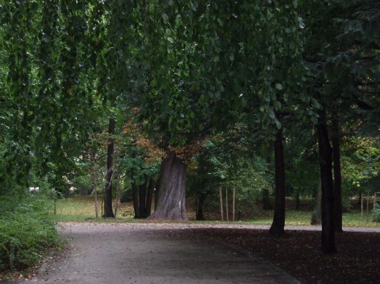 Jesień wkracza do kalendarza (Zobacz) - 18