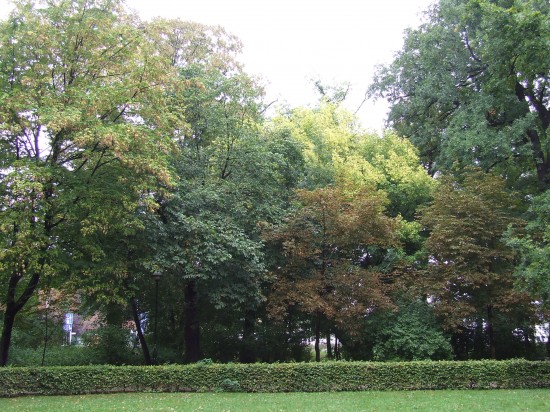 Jesień wkracza do kalendarza (Zobacz) - 28