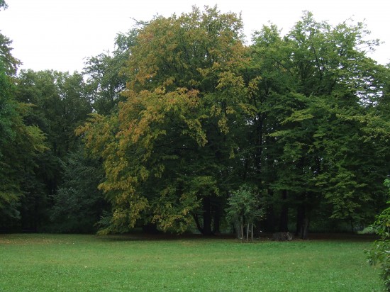 Jesień wkracza do kalendarza (Zobacz) - 13