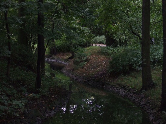 Jesień wkracza do kalendarza (Zobacz) - 10
