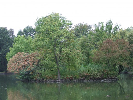 Jesień wkracza do kalendarza (Zobacz) - 23