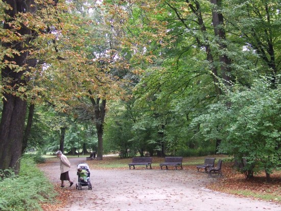 Jesień wkracza do kalendarza (Zobacz) - 20