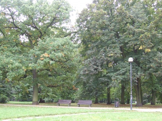 Jesień wkracza do kalendarza (Zobacz) - 5