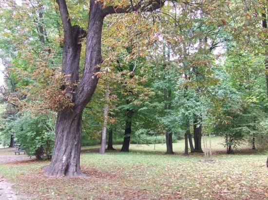 Jesień wkracza do kalendarza (Zobacz) - 21