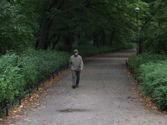 Jesień wkracza do kalendarza (Zobacz) - 11