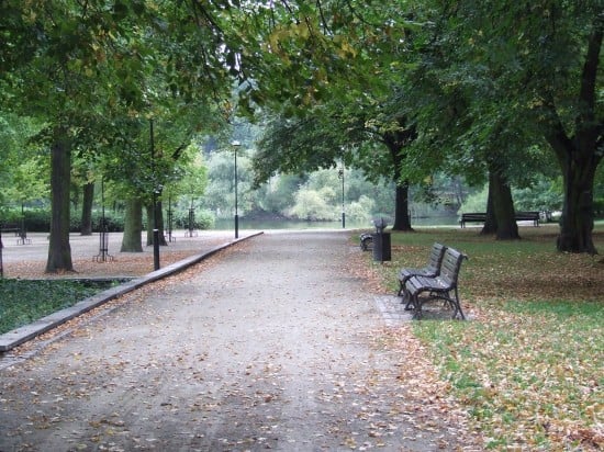 Jesień wkracza do kalendarza (Zobacz) - 2