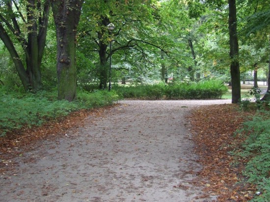 Jesień wkracza do kalendarza (Zobacz) - 26
