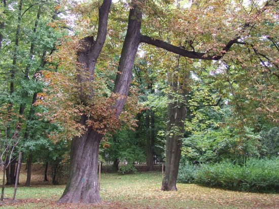 Jesień wkracza do kalendarza (Zobacz) - 19