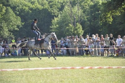 Dni Długołęki (Zobacz) - 34