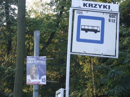 Zewsząd twarze polityków - 3
