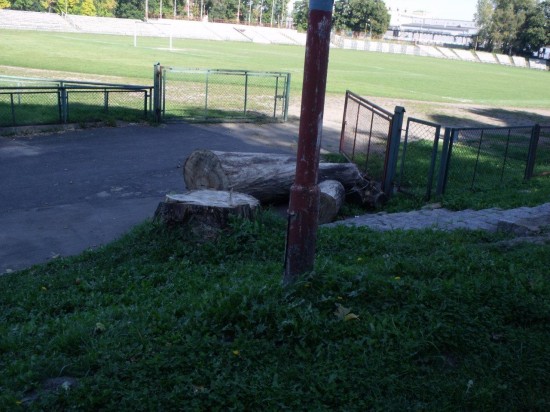 Falstart na stadionie (Zobacz zdjęcia) - 11