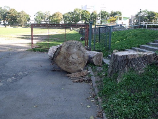 Falstart na stadionie (Zobacz zdjęcia) - 12