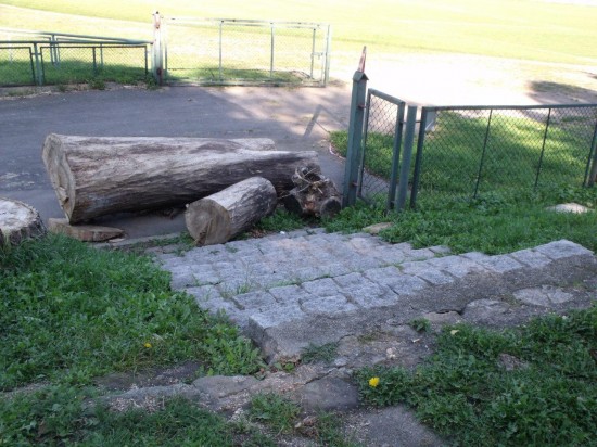 Falstart na stadionie (Zobacz zdjęcia) - 2