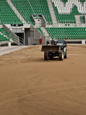 Wielkie zrywanie na stadionie (Zobacz) - 5