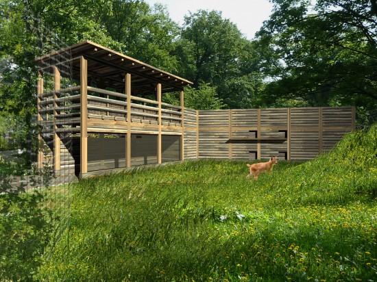 Zoo zmieni się nie do poznania (Zobacz) - 2