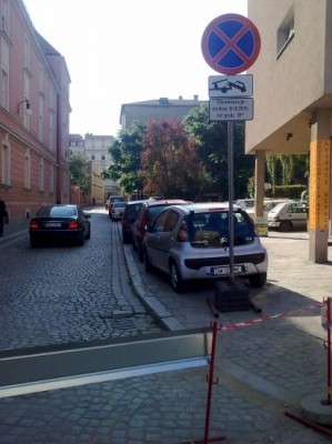 Horror w centrum miasta! (Zobacz) - 5