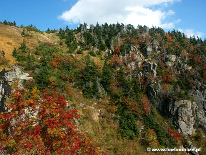 Coraz zimniej w regionie - Fot. www.karkonosze.pl