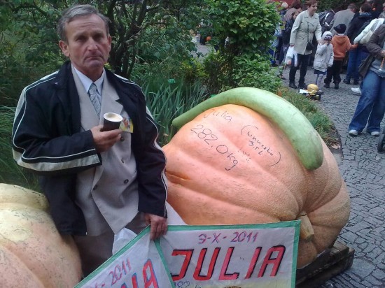 Dolnośląski Festiwal Dyni - 0