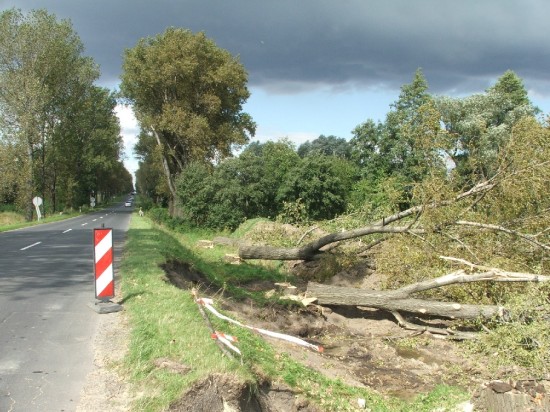 Świdnica odetchnie od samochodów - 4