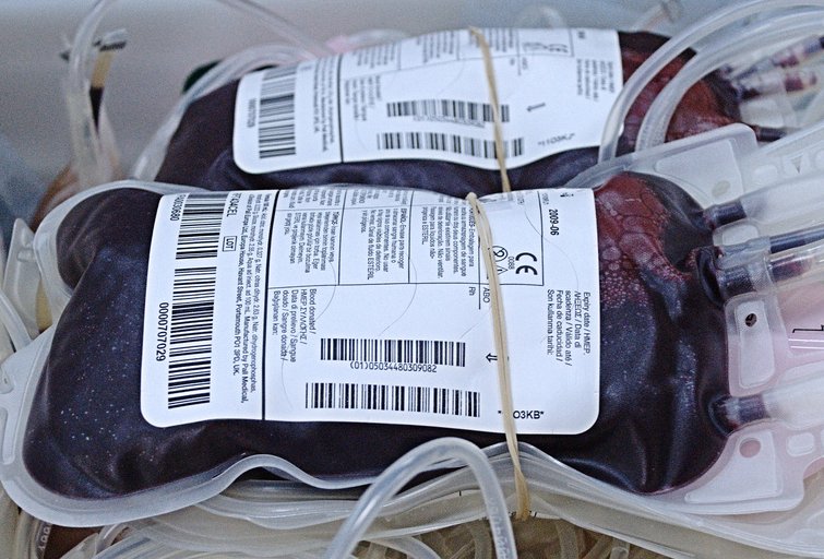 Krew poleje się na Politechnice - Fot. Alan012/Wikipedia