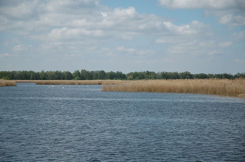 Stawy Milickie w rękach samorządu - fot. Wikipedia