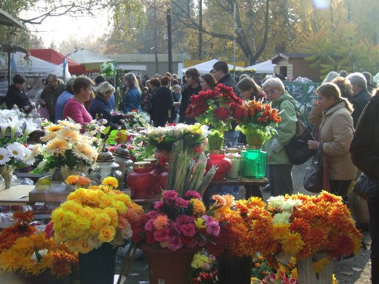 Dzień Wszystkich Świętych - 18