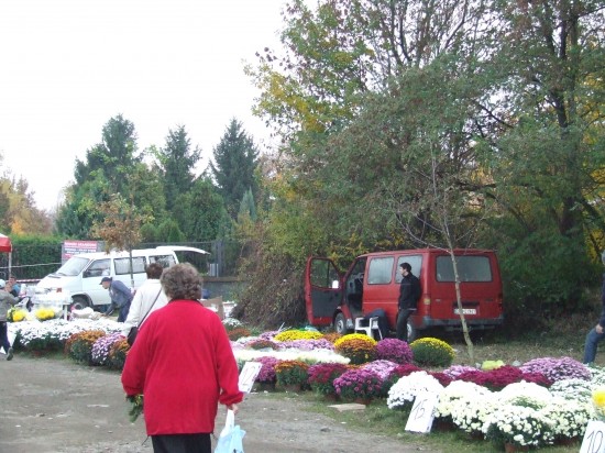 Dzień Wszystkich Świętych - 1