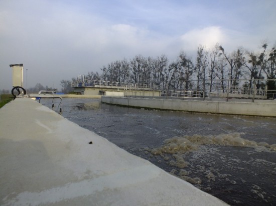 Środa Śl. bardziej ekologiczna - 9
