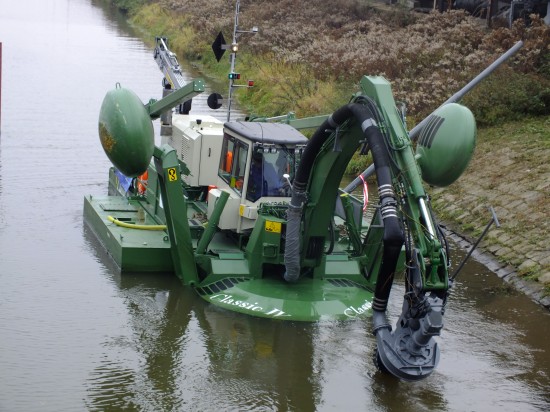 Gigantyczny pająk na Odrze - 5