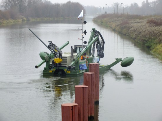 Gigantyczny pająk na Odrze - 7