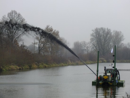 Gigantyczny pająk na Odrze - 9