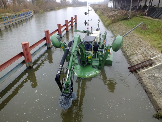 Gigantyczny pająk na Odrze - 4