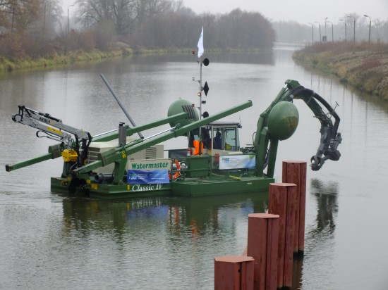 Gigantyczny pająk na Odrze - 6