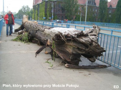 Wielka woda na Dolnym Śląsku, 22.05.10 - relacja - 25