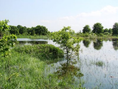 Wielka woda na Dolnym Śląsku, 22.05.10 - relacja - 53