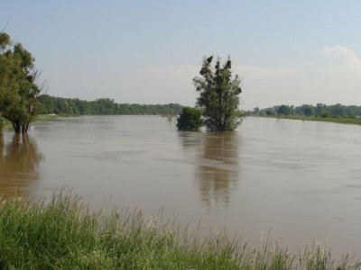 Wielka woda na Dolnym Śląsku, 22.05.10 - relacja - 57
