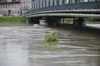 Wielka woda na Dolnym Śląsku (Wideo i zdjęcia) - 16