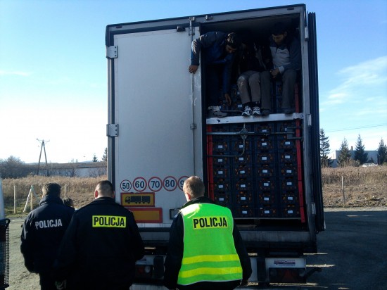 Afgańczycy w transporcie mandarynek  - 1