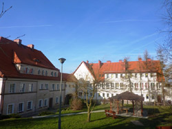 Nagroda dla wolontariuszy - Fot. WPOW Wiosna