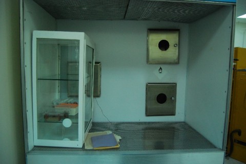 "Clean room", czyli sen o przyszłości - 32