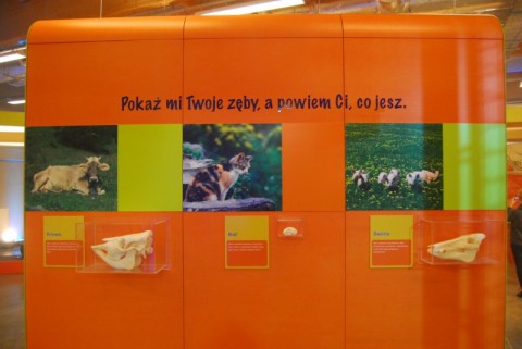 Humanitarium - Ogrody Doświadczeń - 5