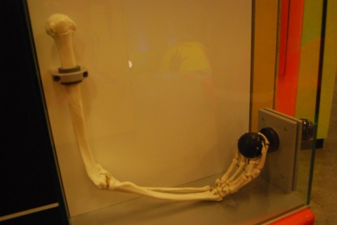 Humanitarium - Ogrody Doświadczeń - 10