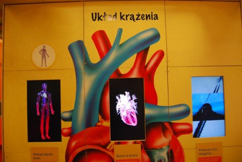Humanitarium - Ogrody Doświadczeń - 16