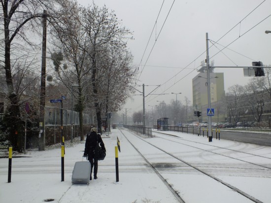 Pierwszy śnieg we Wrocławiu - 0