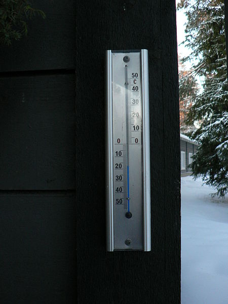 Wyjątkowo ciepła zima - Fot. Jamin/Wikipedia