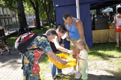 DRJ 2010: Głuszyca - 1